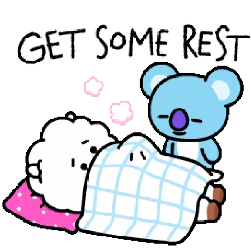 BT21 15