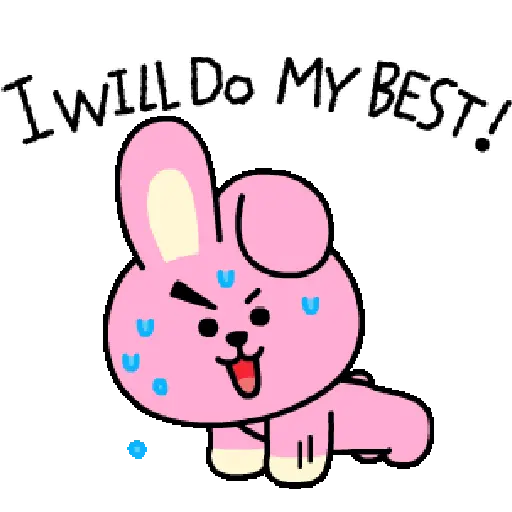 BT21 29