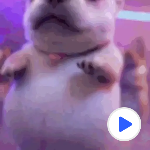 Pibble 🐶