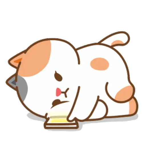 🐈•🐾Cute Michis🐾•🐈