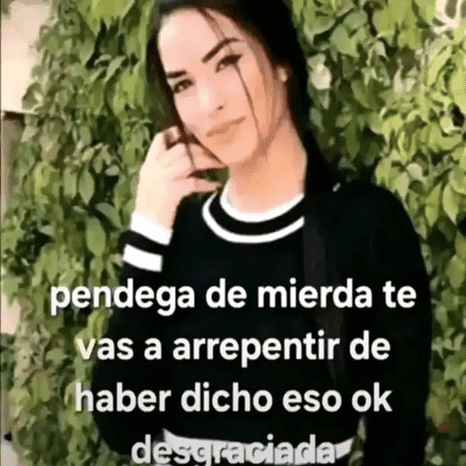Comentarios del TikTok 13
