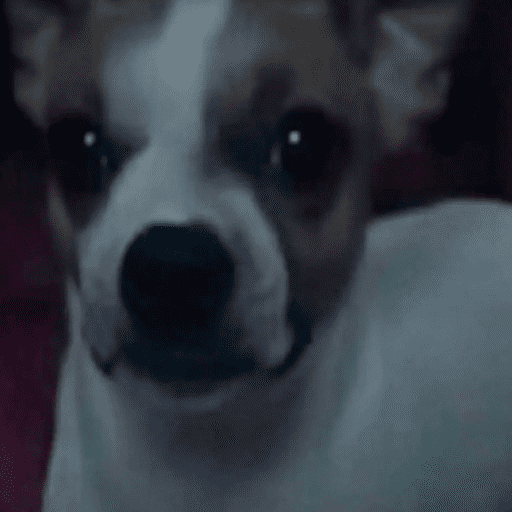 Comentarios del TikTok 7
