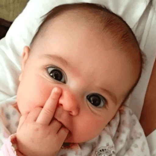 Bebés Para Tu Chat 👶