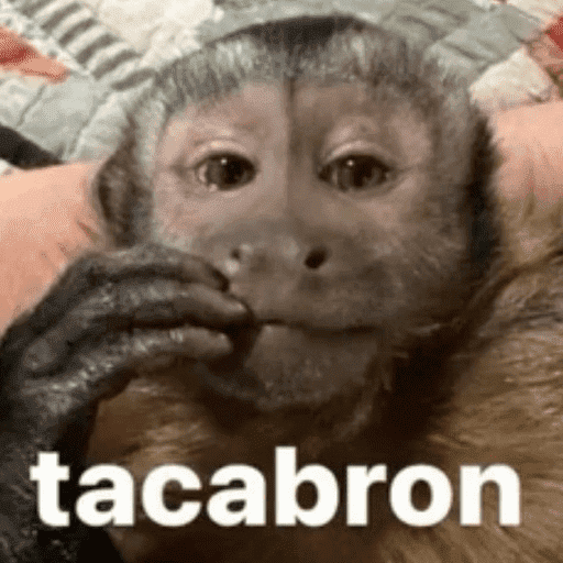 Memes TikTok 🥶💜 16