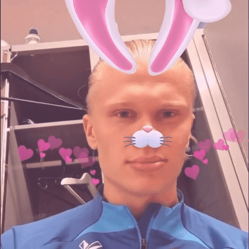 Erling Haaland ⚽️🇳🇴 17