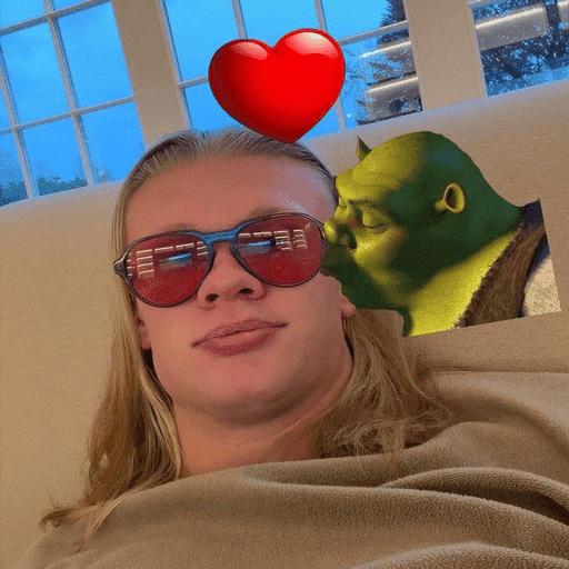 Erling Haaland ⚽️🇳🇴 10