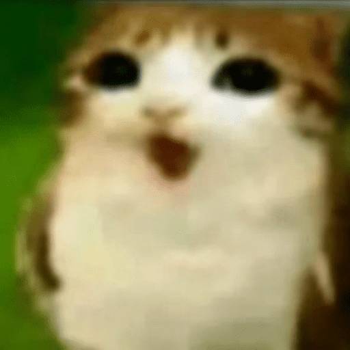 Memes Trendy
