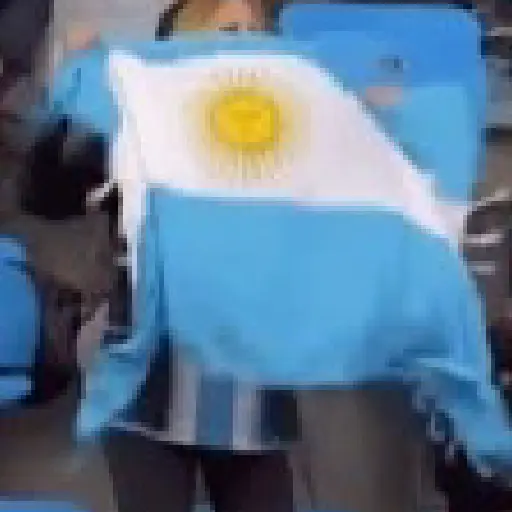 Argentina Mundial🇦🇷✨ 9