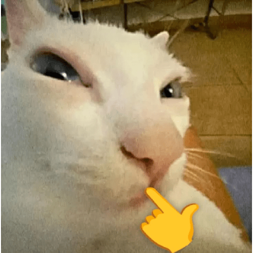 Animaladas Random🤪✨15 5