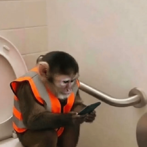 Animaladas Random🤪✨15 3