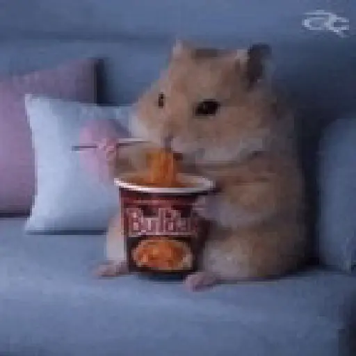 Hamster comiendo🍔🍝🐹✨