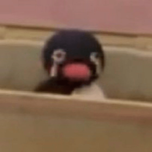 Memes Random 4-Tiktok😆✨ 17