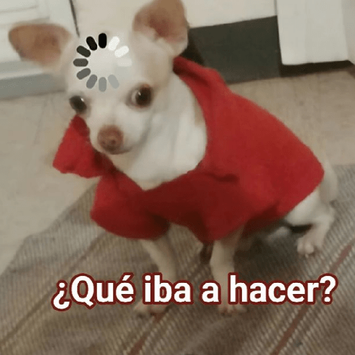 Memes Random 4-Tiktok😆✨ 11