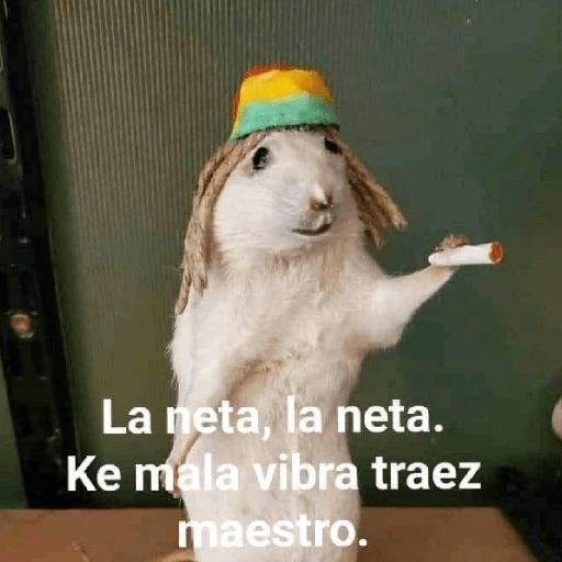 Memes Random 4-Tiktok😆✨ 13