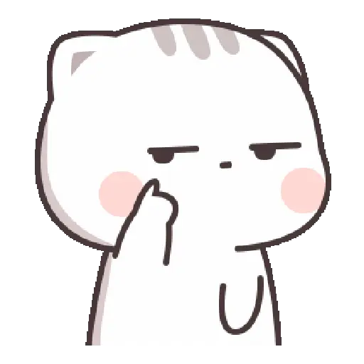 Mochi cat angry