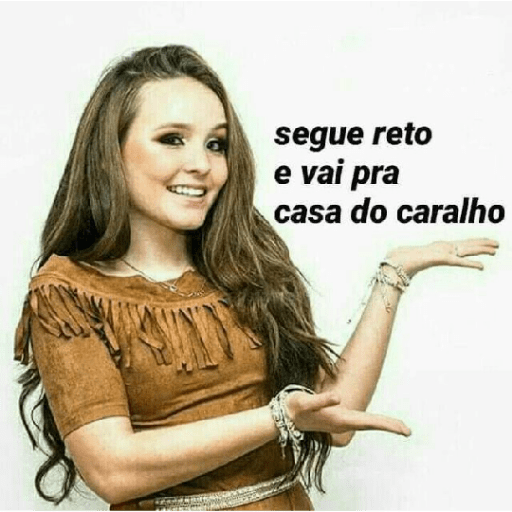 Memes brasileiros 4
