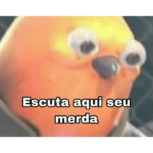 Memes brasileiros 20