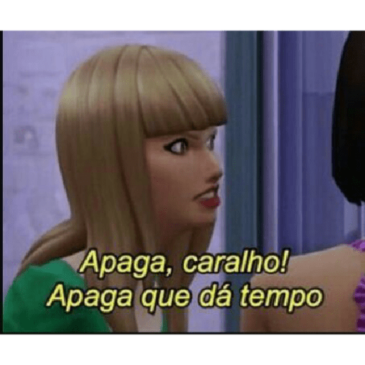 Memes brasileiros 12