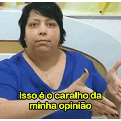 Memes brasileiros 14