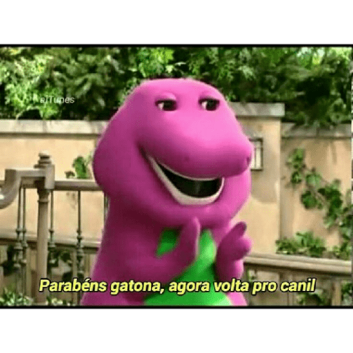 Memes brasileiros 24
