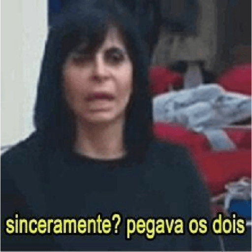 Memes brasileiros 15