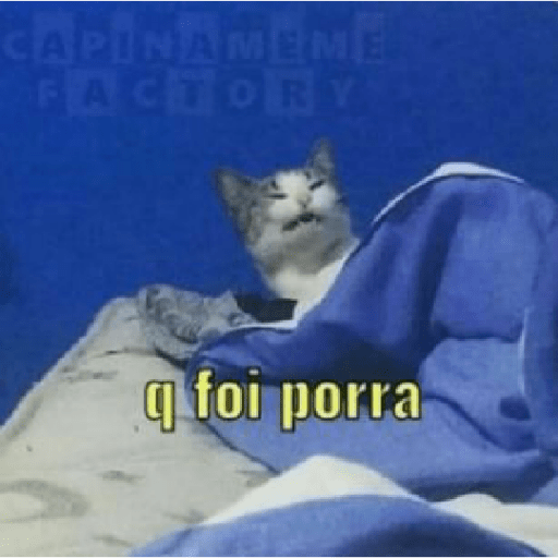 Memes brasileiros 6