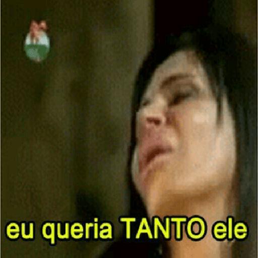 Memes brasileiros 16