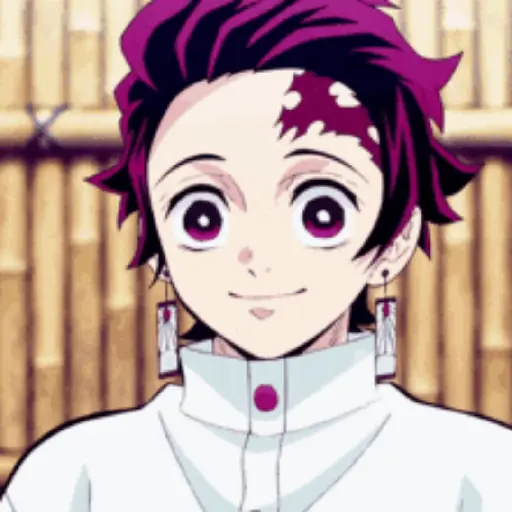 Demon slayer 11
