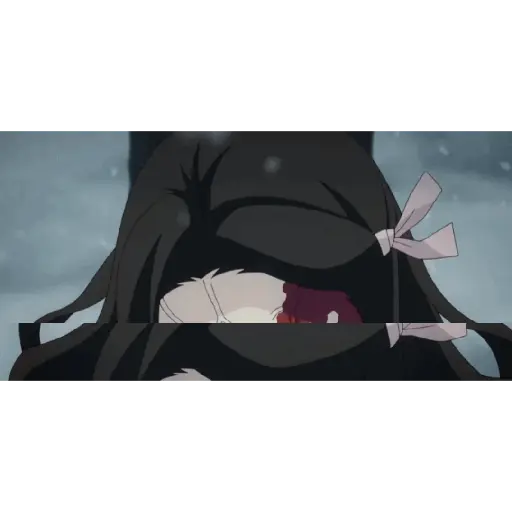 Demon slayer 9