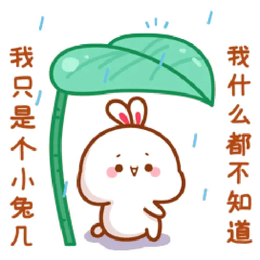 Bubu 🌹💐💐💐💐 4