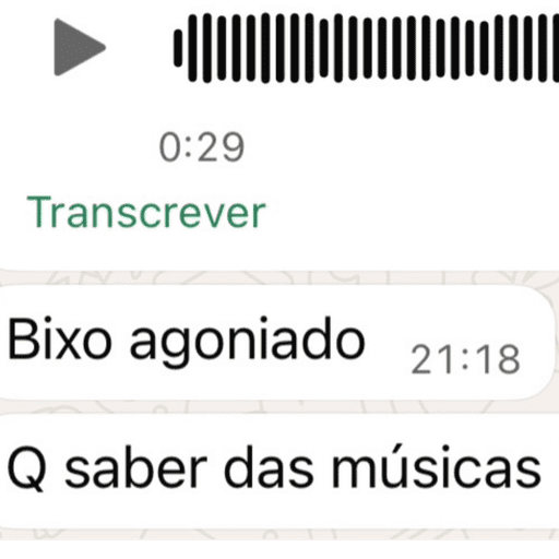 Operação Livia 24