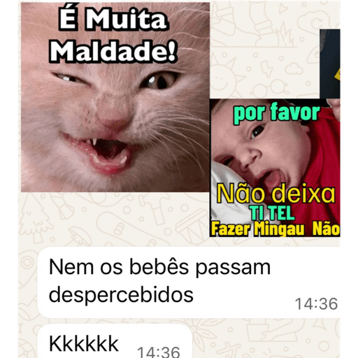 Operação Livia 4