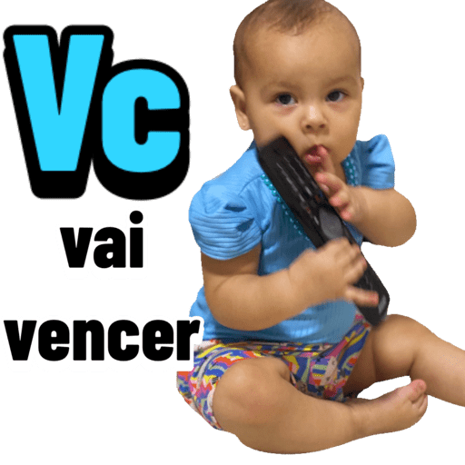 Operação Livia 29