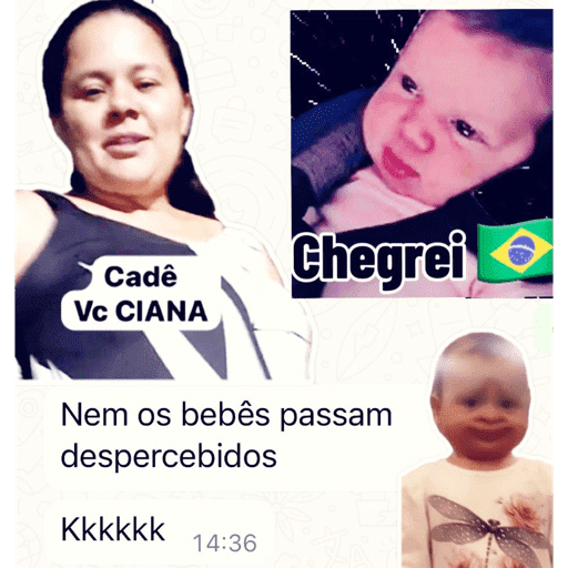 Operação Livia 5