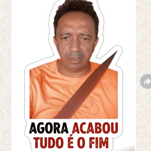 Operação Livia 13