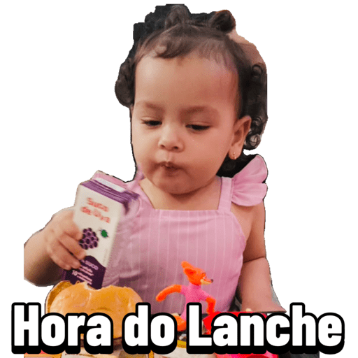 Operação Livia 26