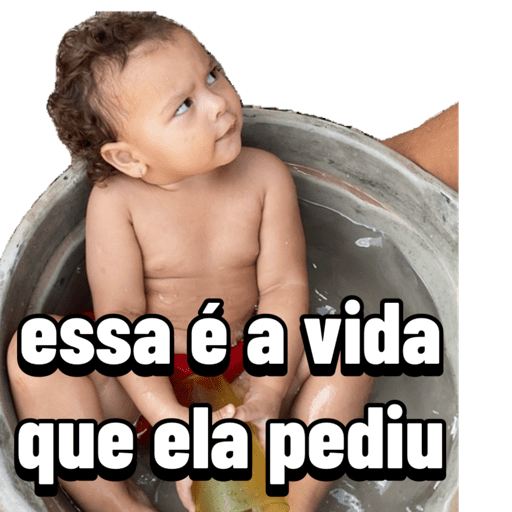 Operação Livia 8