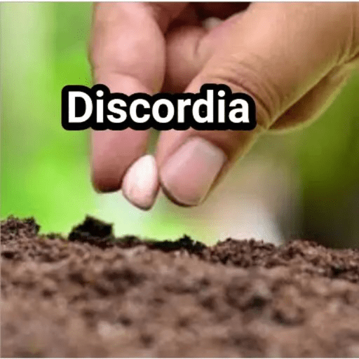 Frases das boa
