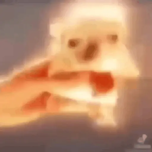 1756007642579.webp