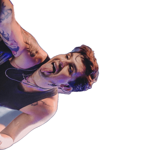 Luan santana Memes  14