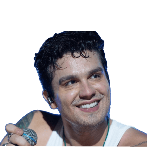 Luan santana Memes  7