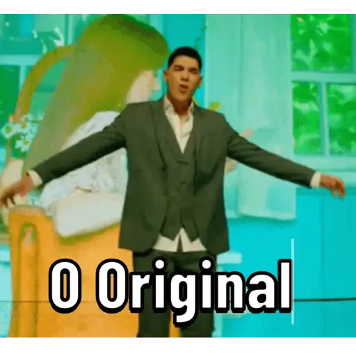 Melhores Memes  11