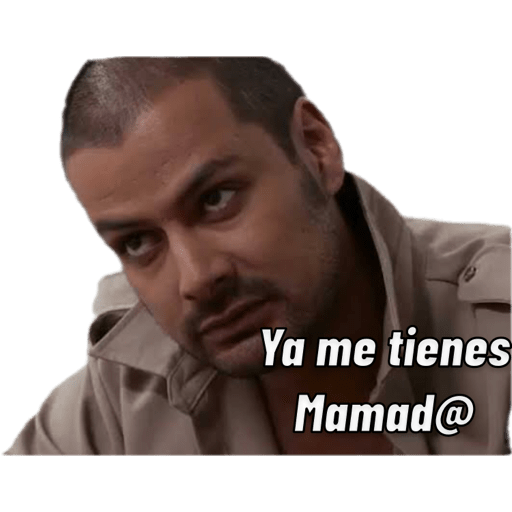 Señor de los cielos 6