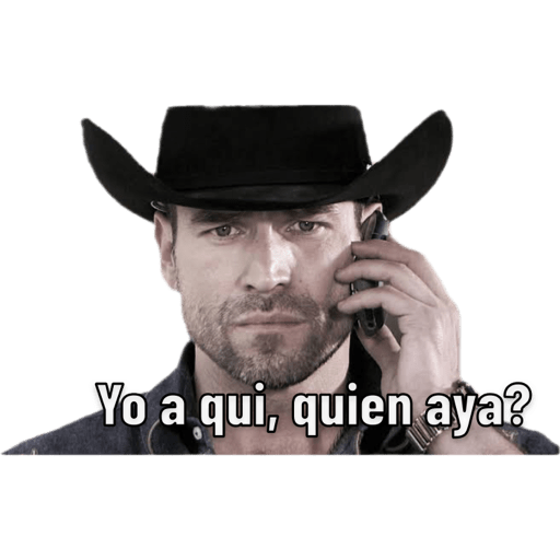 Señor de los cielos 2