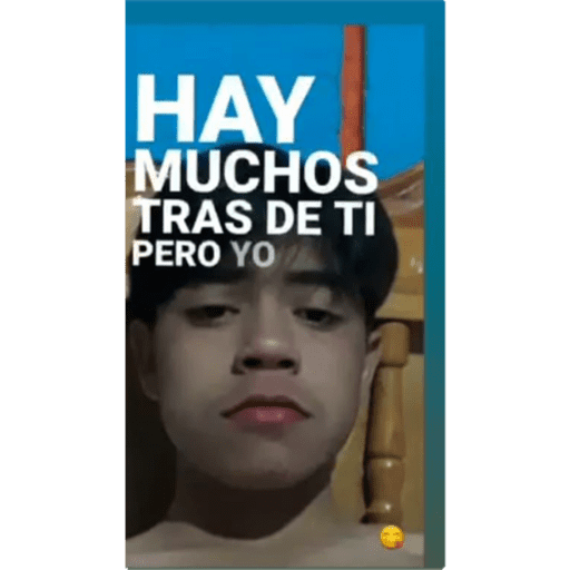 El ruedo  13