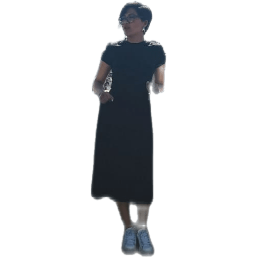 Vecs 8