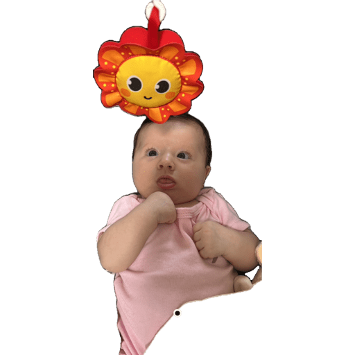 Sticker Image