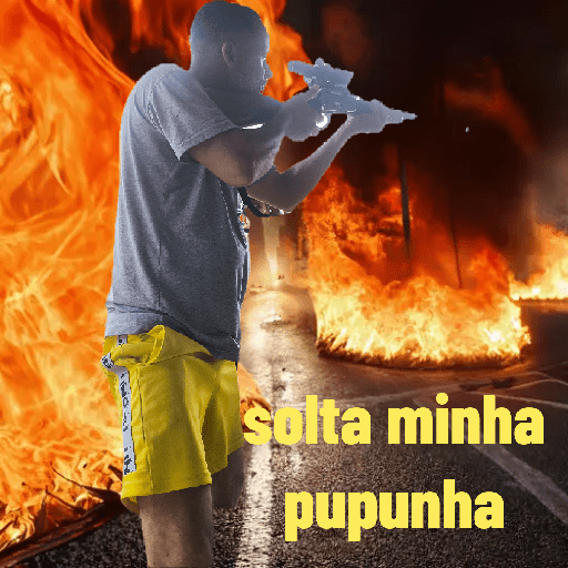 Minhas figurinhas 1