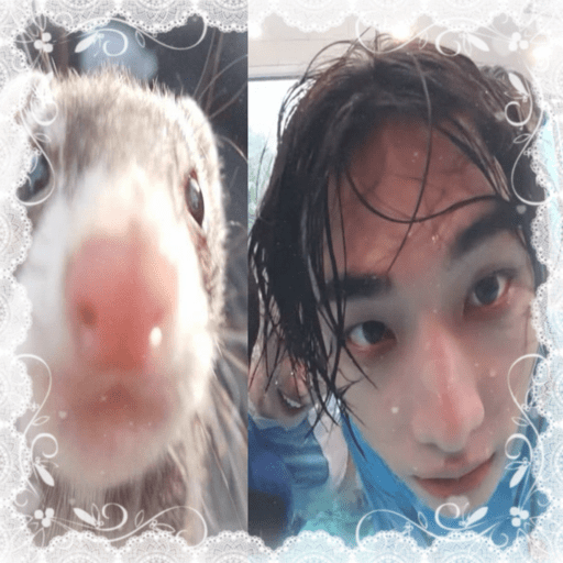 𝓢tray 𝓚ids !!
