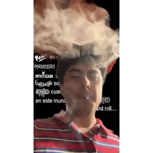 Gif 1